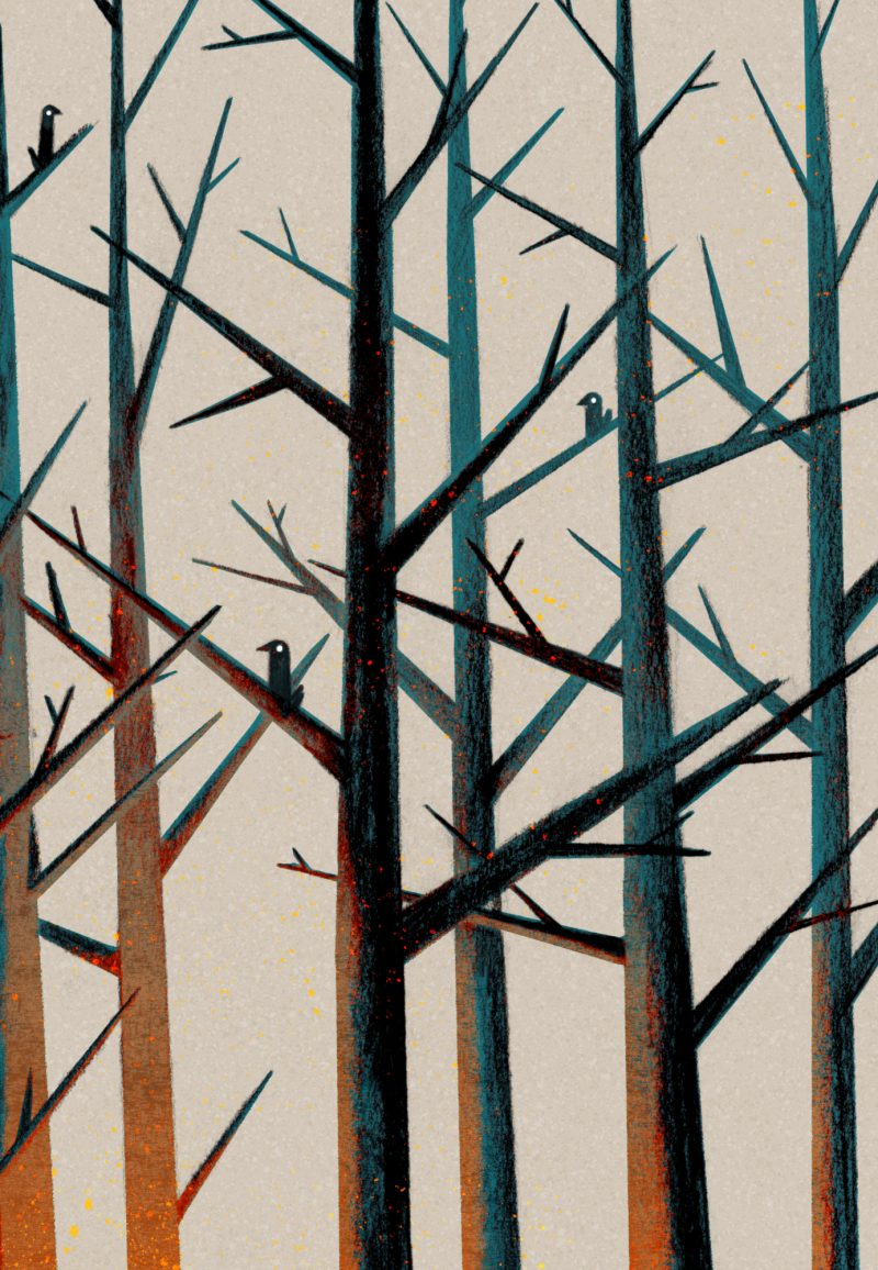 Eleni Debo Illustratie Boek En Babbeldetail